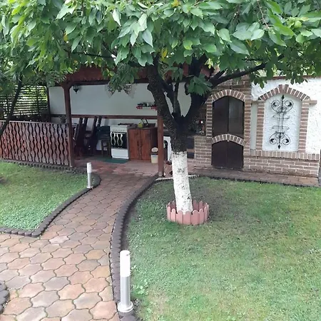 Holiday home Casa Ioana *